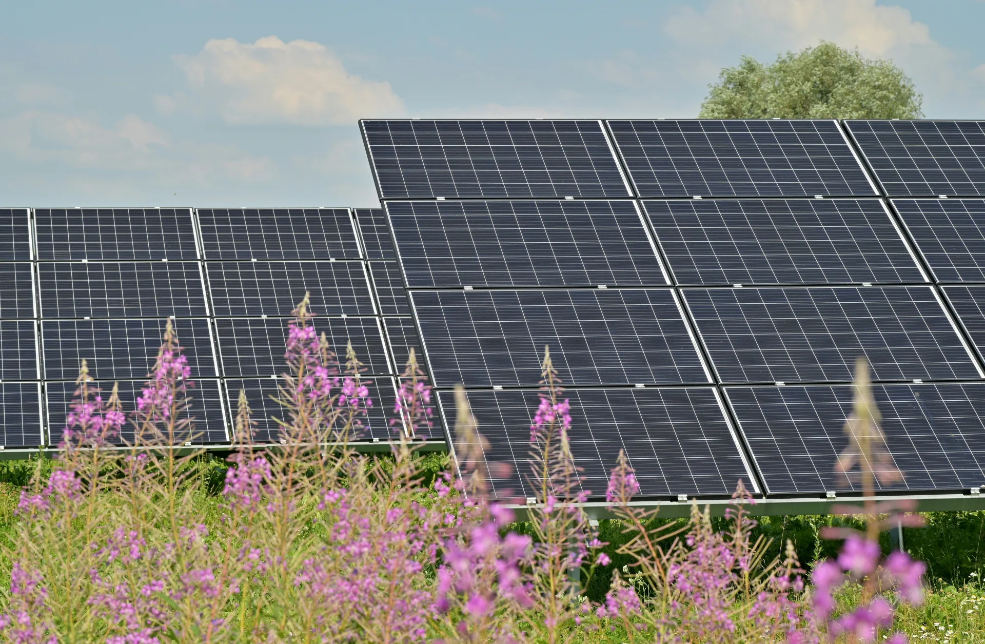 Panneaux solaires installés en Tunisie - guide régional